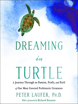 Dreaming in Turtle - Audiobook